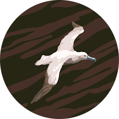 Thomas Hoogeveen Avatar