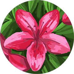 Linda de Gruijter Avatar