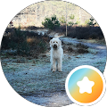 Klaas Jan Regien Avatar